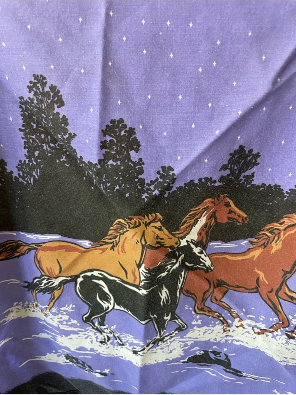 N/A vintage bandana